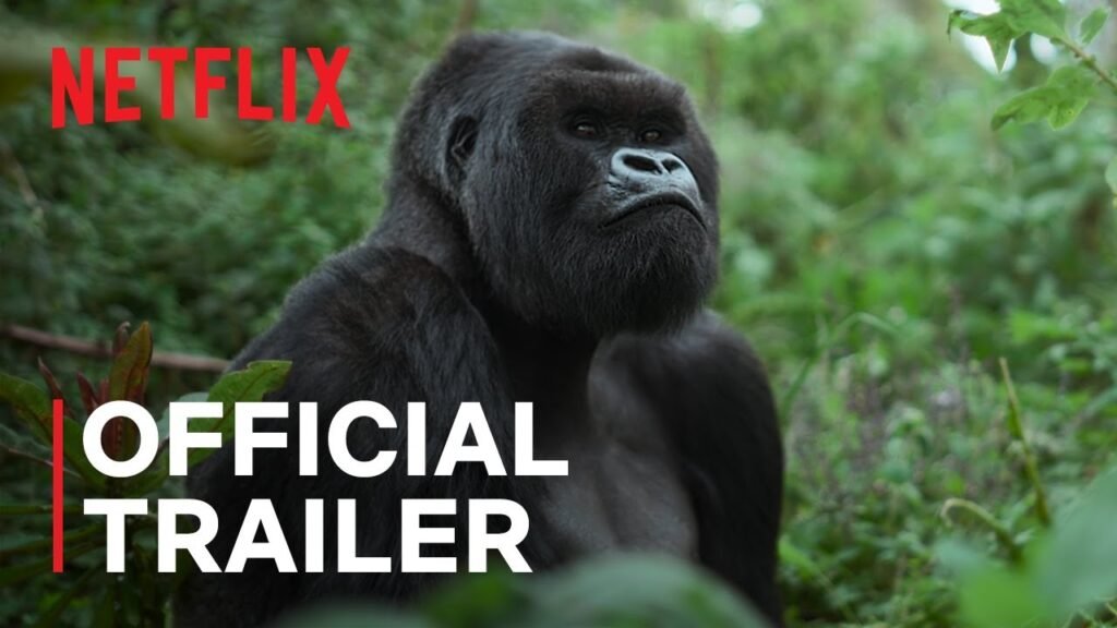 A Gorilla Story: Told by David Attenborough Netflix official trailer